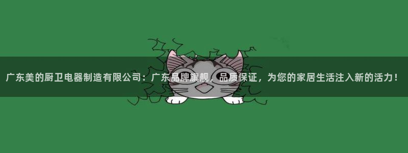 彩神vll官网-最新版app下载:广东美的厨卫电器制造有限公 彩神vll官网-最新版app下载:广东美的厨卫电器制造有限公